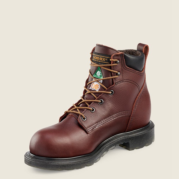 Safety Støvler Herre - Red Wing Supersole® 2.0 - 6-Inch Waterproof Csa Toe - Bordeaux - QJCWRO-109